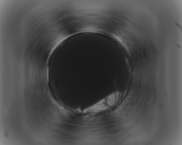 X0000091241323200709061531