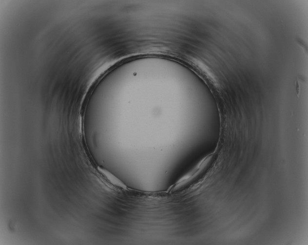 X0000091241324200709061531