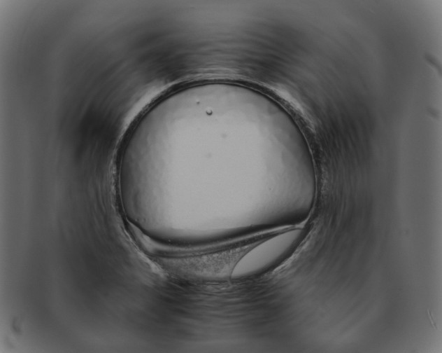 X0000091241325200709061531
