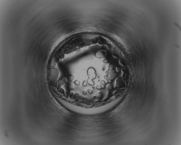 X0000091241326200709061531