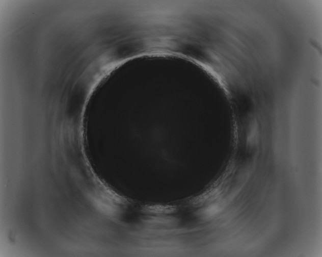 X0000091241327200709061531