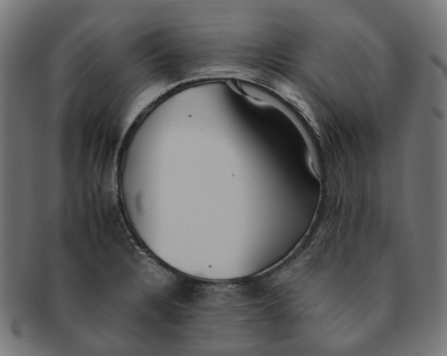 X0000091241328200709061531