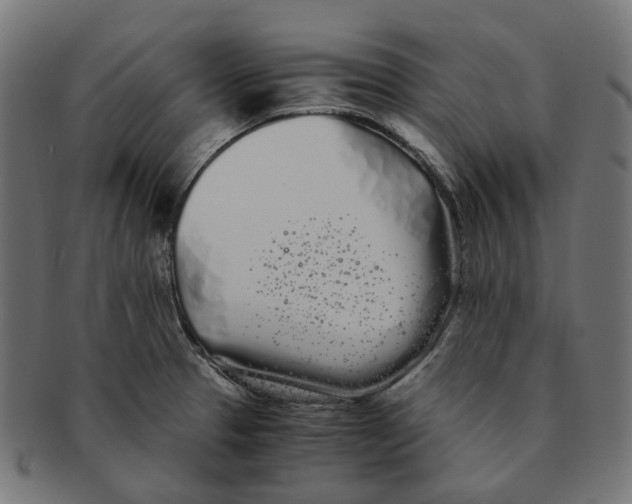 X0000091241329200709061531