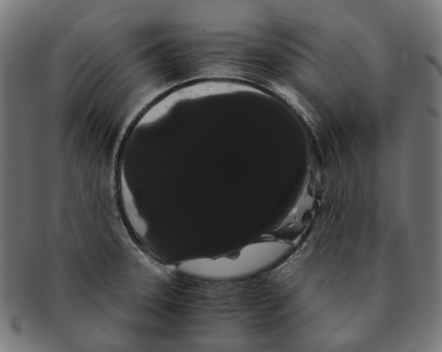 X0000091241331200709061531