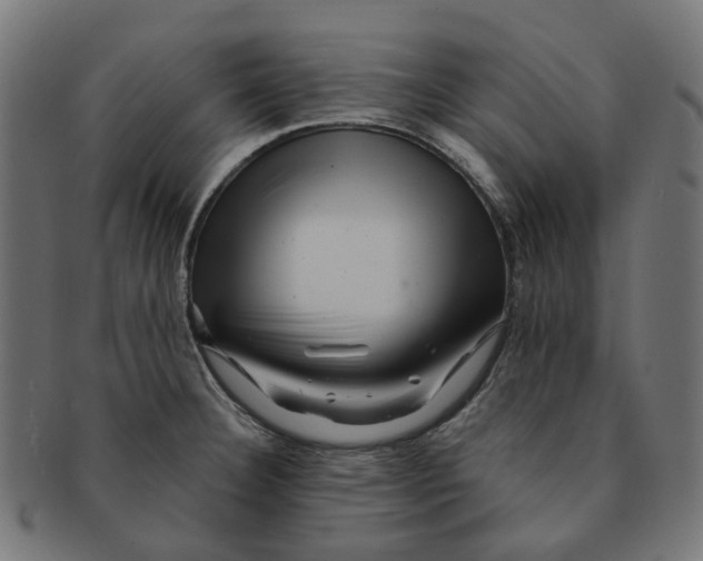 X0000091241332200709061531
