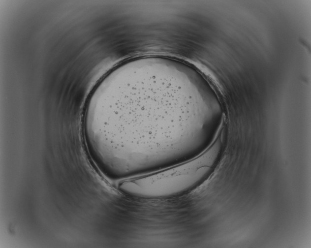 X0000091241333200709061531