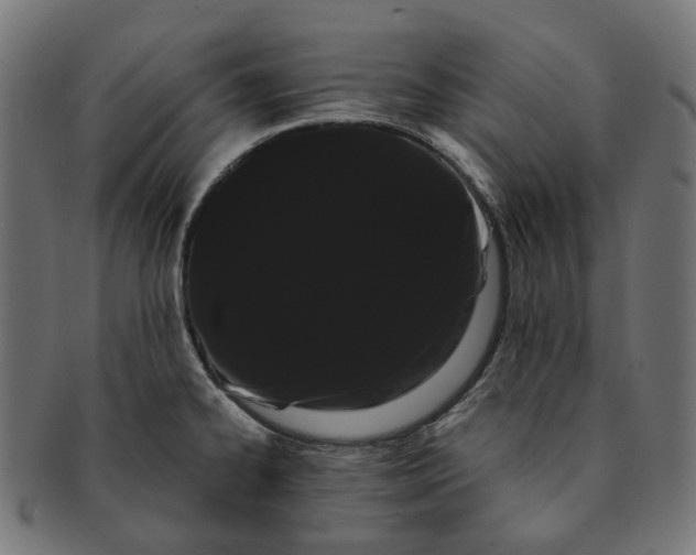 X0000091241334200709061531