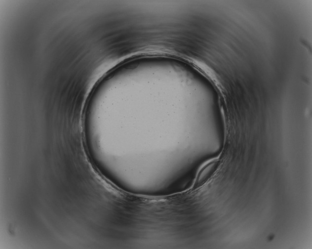 X0000091241335200709061532