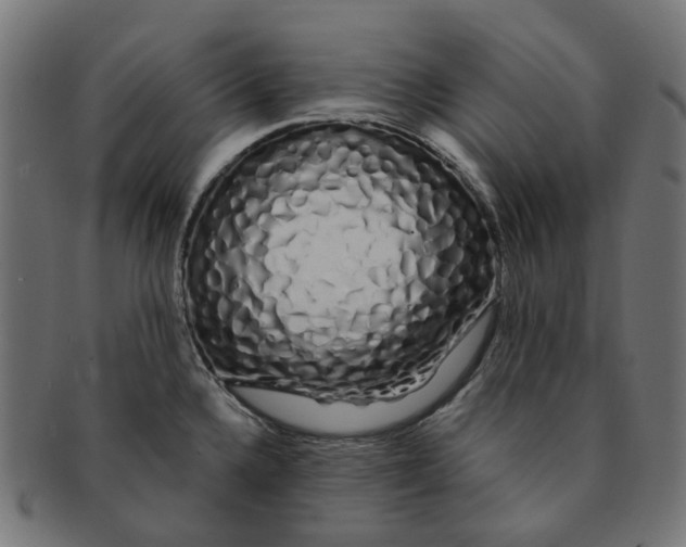 X0000091241336200709061532
