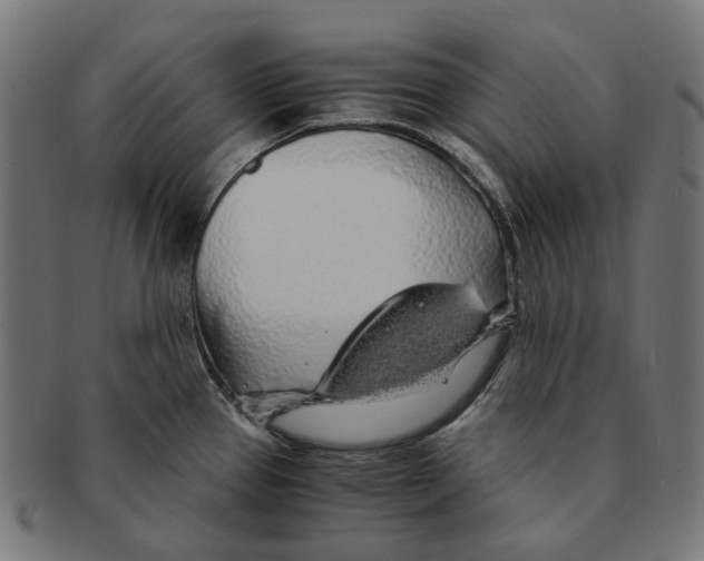X0000091241337200709061532