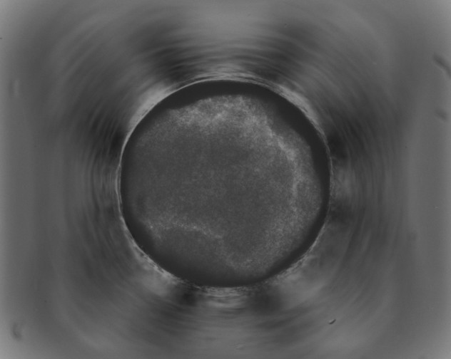 X0000091241338200709061532