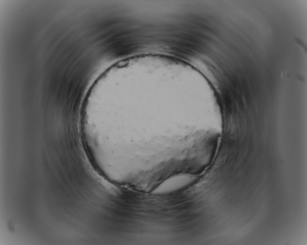 X0000091241339200709061532