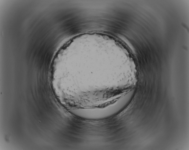 X0000091241340200709061532