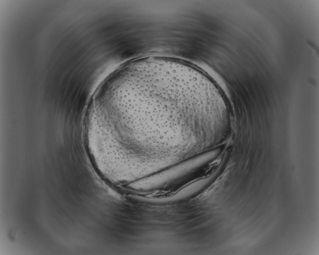 X0000091241341200709061532