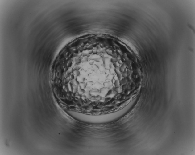 X0000091241342200709061532