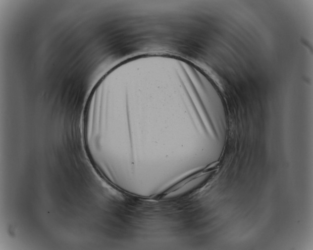 X0000091241343200709061532