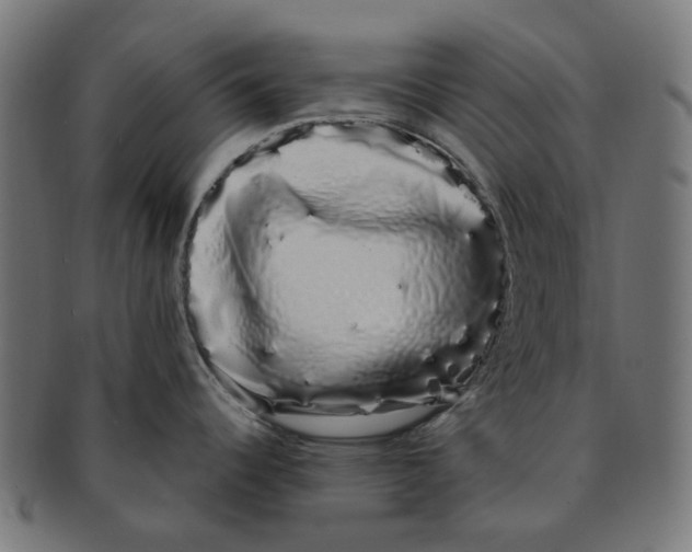 X0000091241344200709061532