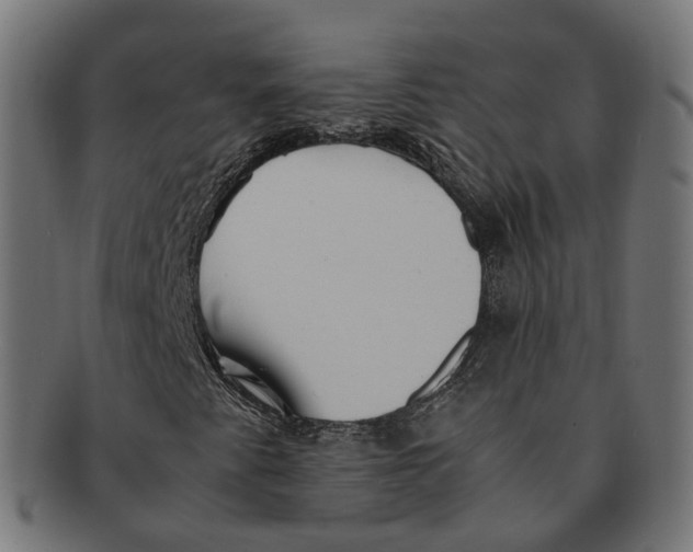 X0000091241345200709061531