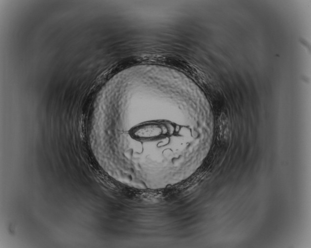X0000091241346200709061531