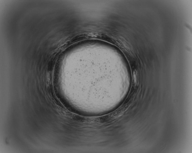 X0000091241347200709061531