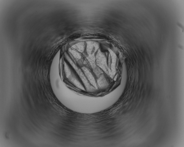X0000091241348200709061531