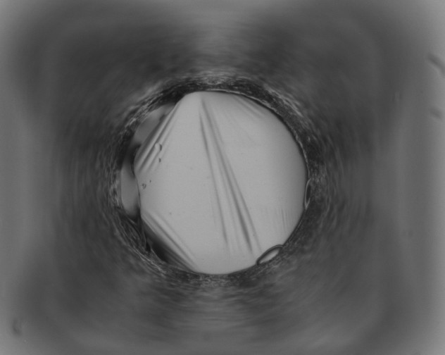 X0000091241349200709061531