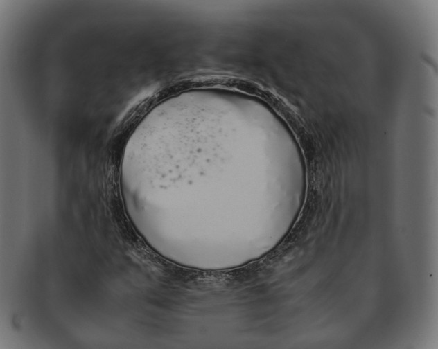 X0000091241351200709061531