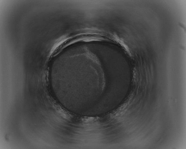 X0000091241352200709061531