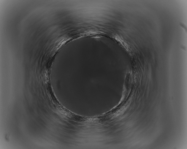 X0000091241353200709061531