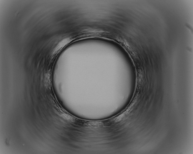 X0000091241354200709061531