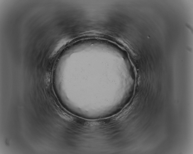X0000091241355200709061531