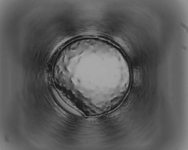 X0000091241356200709061531