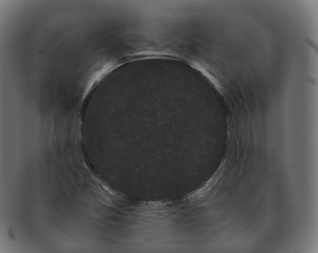 X0000091241357200709061531