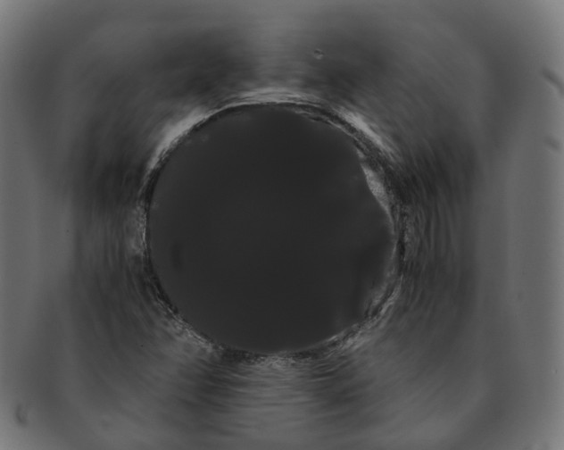 X0000091241358200709061531