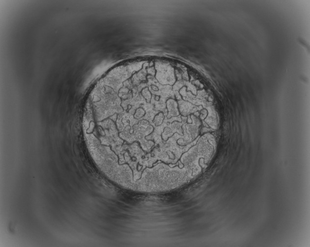 X0000091241359200709061531