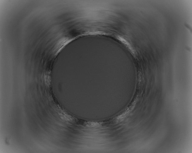 X0000091241361200709061531