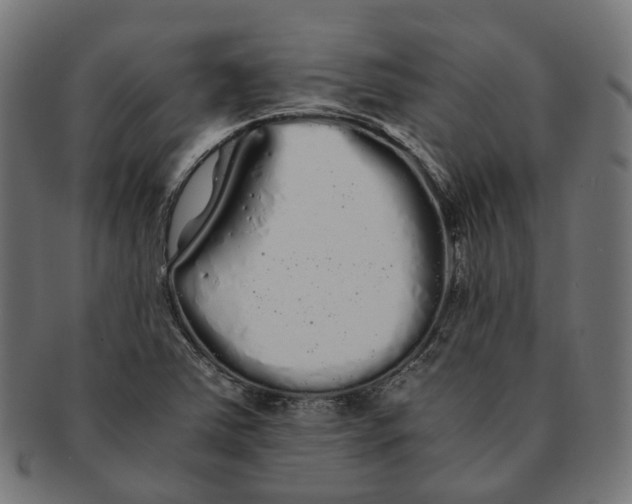 X0000091241363200709061531