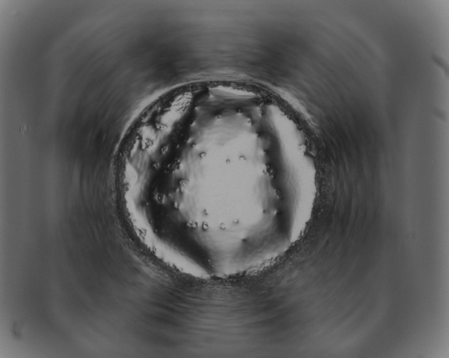 X0000091241364200709061531