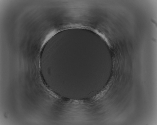 X0000091241365200709061531