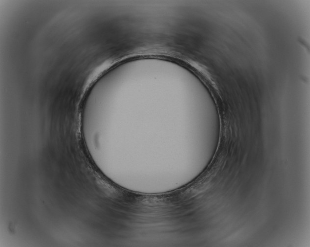 X0000091241366200709061531