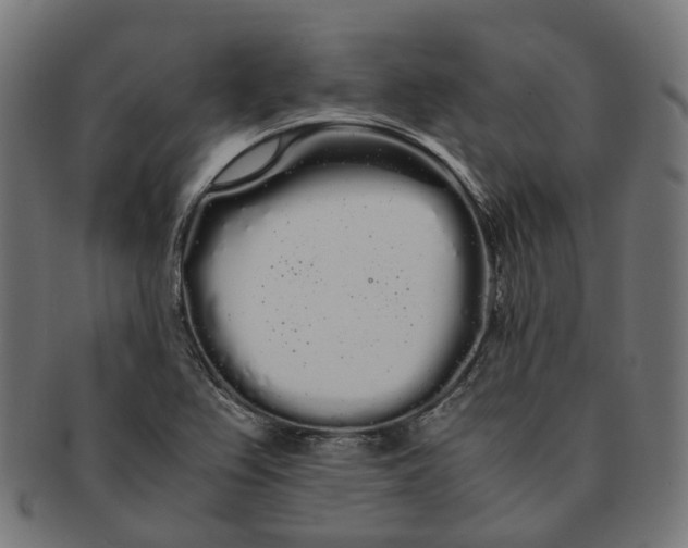 X0000091241367200709061531