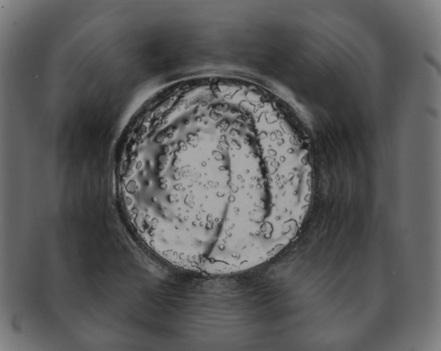 X0000091241368200709061531