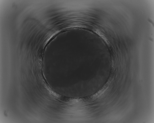 X0000091241369200709061531