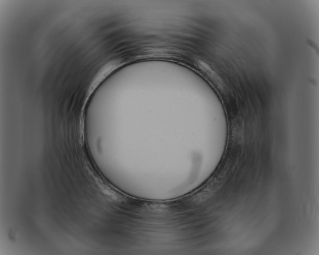X0000091241370200709061531