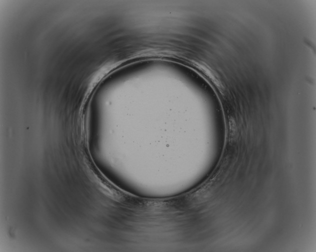 X0000091241371200709061531