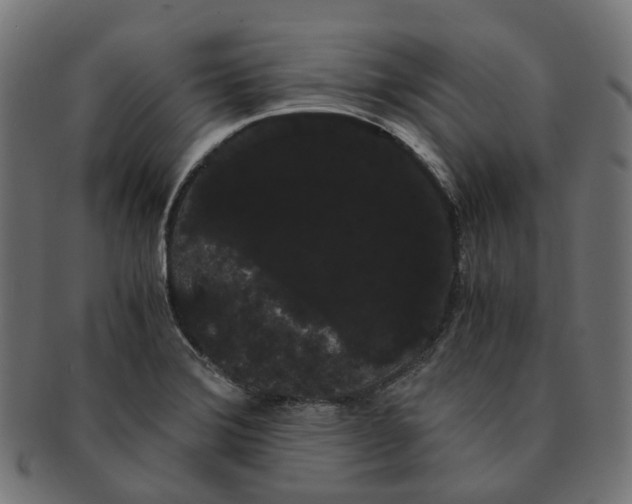 X0000091241372200709061531