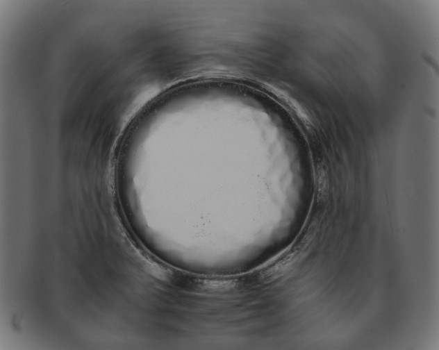 X0000091241375200709061531