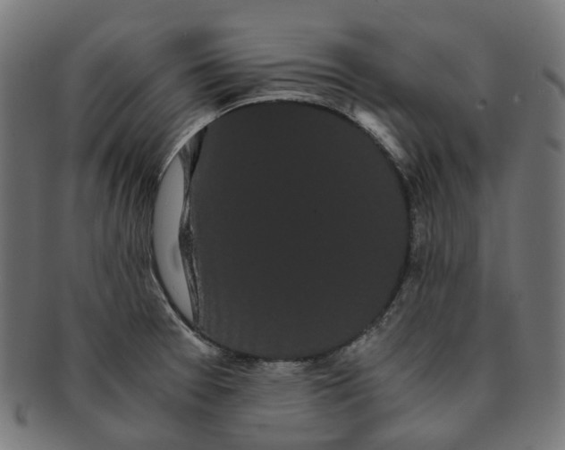 X0000091241377200709061531