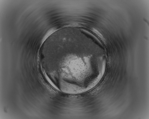 X0000091241378200709061531