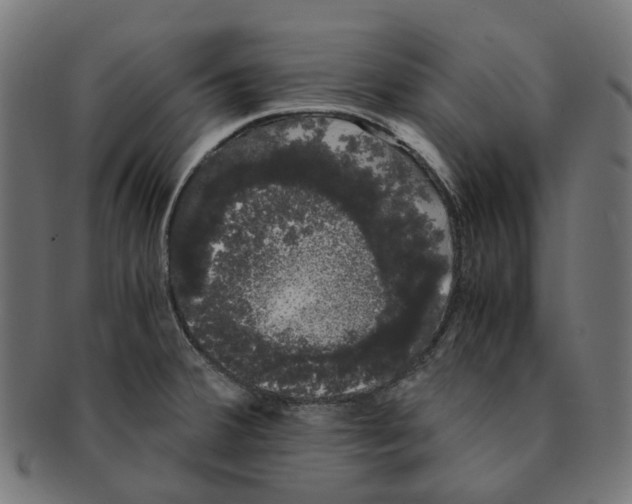 X0000091241380200709061531